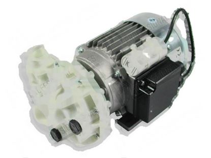 Obrázek Wash pump 1 phase 550W 230V 50Hz for Zanussi, Electrolux Part# 5049