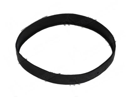 Immagine di Gasket for Granuldisk Part# 10646