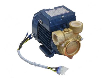 Picture of Rinse pump 3P 370W 230/400V 50Hz for Granuldisk Part# 11539
