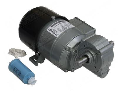 Afbeeldingen van Gearmotor 1 phase 10W 220/240V 50/60Hz 0,2A for Granuldisk Part# 13100