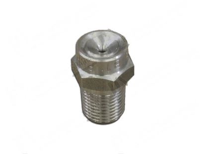 Picture of Rinsing nozzle M10 - H=19,5 mm (6 pcs) for Granuldisk Part# 13929