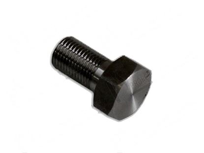 Afbeeldingen van Screw TE M12x18 mm for Brema Part# 20663