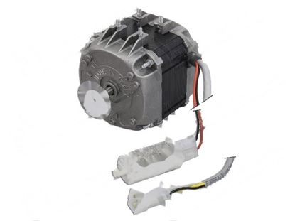 Picture of Pentavalent motor 45/115-130W for Brema Part# 23121
