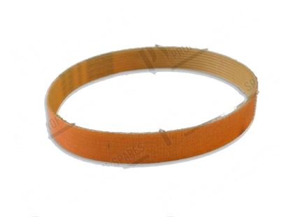 Obrázek V-ribbed belt TB2 L=430 mm H=22 mm for Zanussi, Electrolux Part# 33722