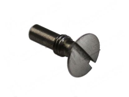 Bild von Countersunk screws Ts  M5x19 for Zanussi, Electrolux Part# 51393