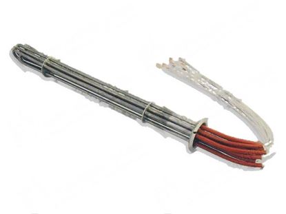 Foto de Boiler heating element 17000W 220V for Zanussi, Electrolux Part# 56012