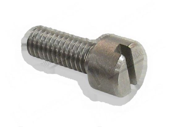 Bild på Cylinder head bolts M6 for Zanussi, Electrolux Part# 59860
