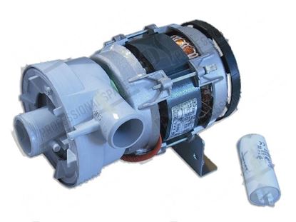 Image de Wash pump 1 phase LA50 470W 230V 50Hz for Elettrobar/Colged Part# 69120