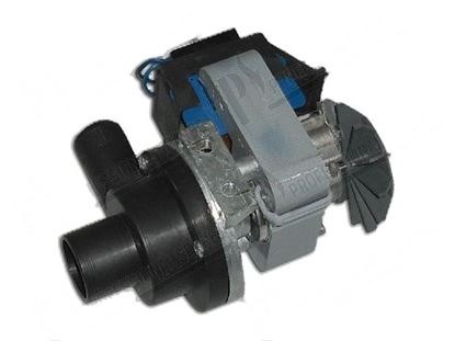 Image de Drain pump 100W 220V 50Hz for Comenda Part# 100342