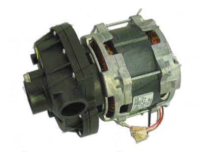 Obrazek Wash pump 1 phase 730W 230V 50Hz for Comenda Part# 100819
