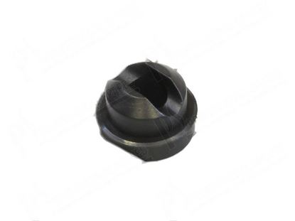 Immagine di Wash nozzle for Granuldisk Part# 101044