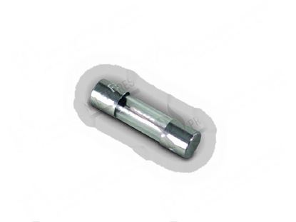 Obrazek Fuse  5x20 mm 1,6A 250V slow (10 Pcs) for Comenda Part# 130265