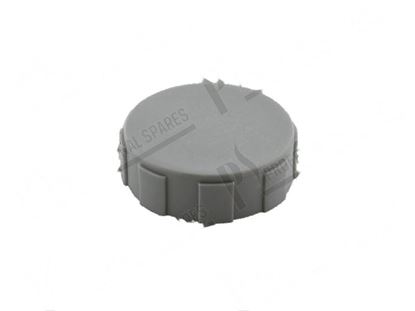 Picture of Plug for wash ramp  50xh16 mm for Comenda Part# 160724