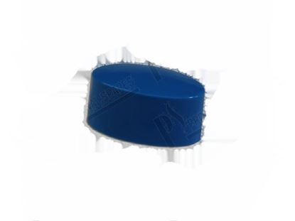 Image de Blue elliptical button - ROLD for Elettrobar/Colged Part# 227067