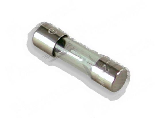 Picture of Fuse  5x20 mm 4A 250V fast for Elettrobar/Colged Part# 228004