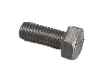 Immagine di Hexagon head screw M8x40 mm for Comenda Part# 260117