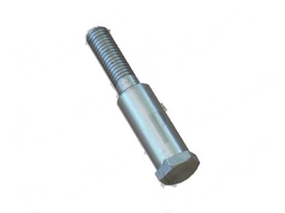Obrázek Pin  12xLtot.60 mm for Comenda Part# 340443