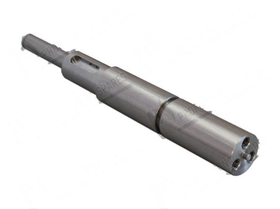 Immagine di Gearmotor shaft L=244 mm for Comenda Part# 342926