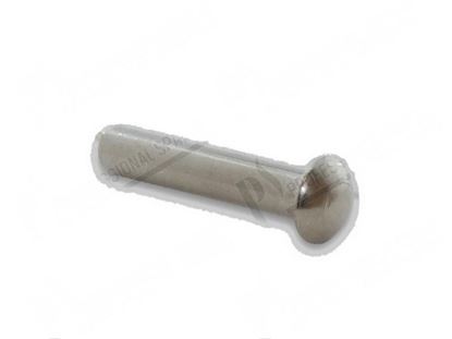 Bild von Pin  6x30/34 mm for Meiko Part# 360012