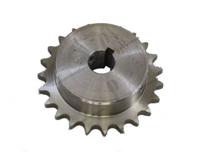 Picture of Pinion  97,50 mm - 23 teeth for Comenda Part# 410242