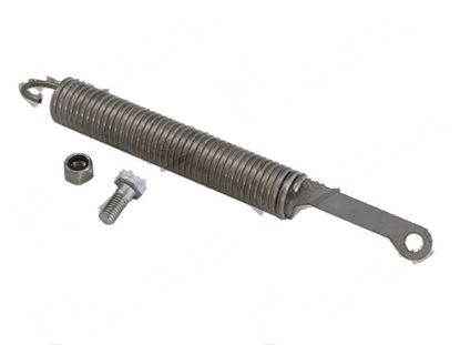 Immagine di Tension spring  22x122xLtot205 mm for Comenda Part# 450237