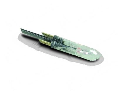 Bild von Fluorescent pilot lamp  9 mm 24V for Elettrobar/Colged Part# 927334