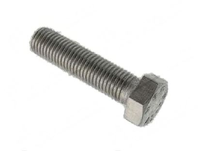 Picture of Hexagonal head screw M4x25 mm - INOX for Winterhalter Part# 2001020