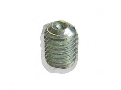 Picture of Grub screw M6x8 mm for Winterhalter Part# 2030304