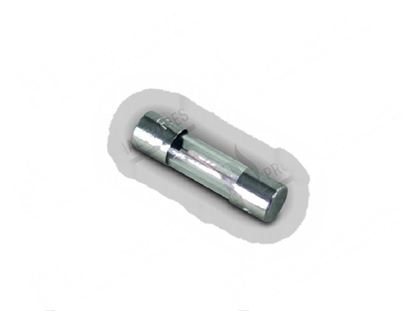 Foto de Fuse  5x20 mm 10A 250V slow for Winterhalter Part# 3111093