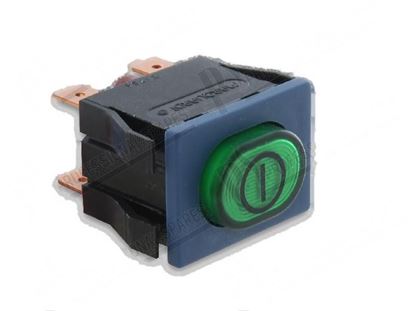 Picture of Green double-pole backlit switch 22x30 mm for Winterhalter Part# 3124185