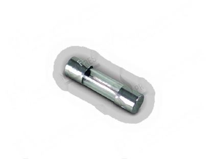 Picture of Fuse  5x20 mm 0,5A for Convotherm Part# 4005063