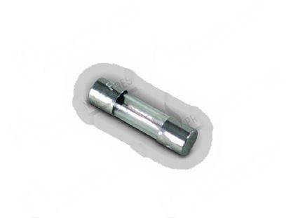 Bild von Fuse  5x20 mm 0,5A for Convotherm Part# 4005063