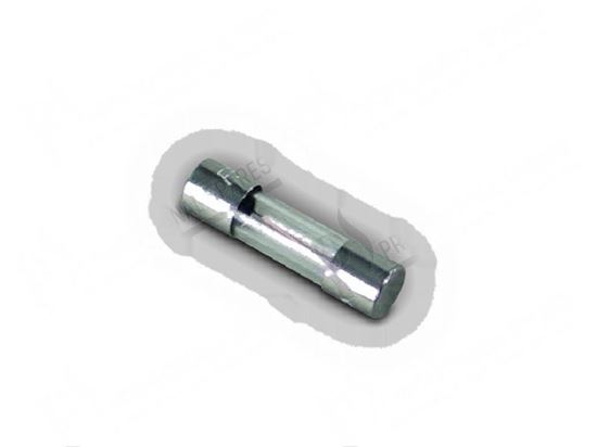 Obrázek z Fuse  5x20 mm 0,5A for Convotherm Part# 4005063 