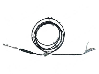 Picture of Core temperature probe 3 measurement points for Convotherm Part# 5013001