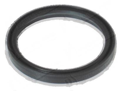 Image de Lip gasket  62x72x8 mm for Granuldisk Part# 6005035