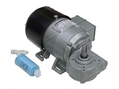 Immagine di Gearmotor 1 phase 35W 50/60Hz 220/240V for Granuldisk Part# 6005098