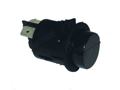 Immagine di Black double-pole switch  25 mm for Giorik Part# 6032049