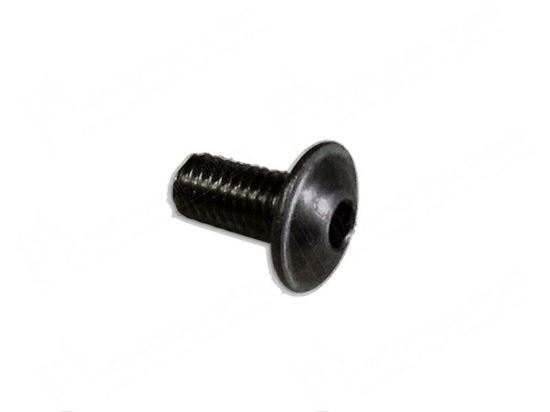 Immagine di Raised countersunk head screws MLF M5x10 mm A2 P2 P3 for Convotherm Part# 8003029