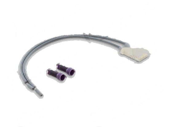 Image sur Adapter Cable L=200 mm for Meiko Part# 9631937