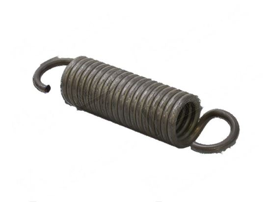 Afbeelding van Tension spring  42x116xLtot200 mm for Fagor Part# 12147406