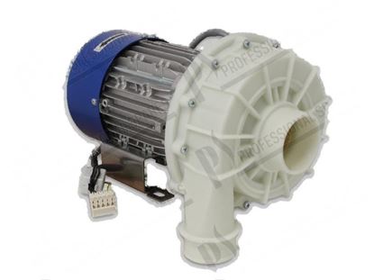 Obrázek Wash pump 3 phase 950W 230V 60Hz for Winterhalter Part# 30001012