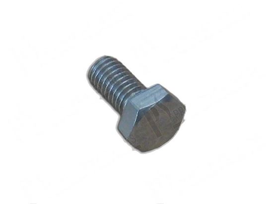 Picture of Hexagon head screw TE M6x12 mm INOX for Scotsman Part# 42000026