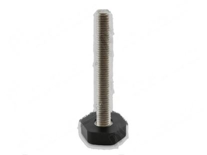 Foto de Adjustable foot M8xHtot=59 mm for Winterhalter Part# 62003652