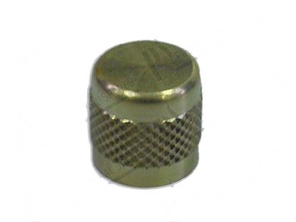 Obrazek Valve cap M10 Htot 13 mm for Scotsman Part# 65010600