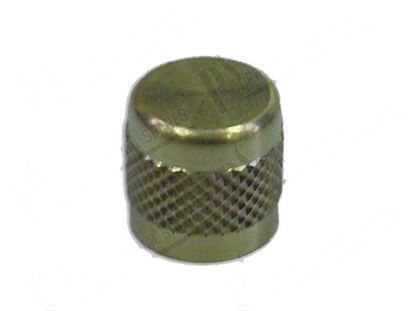 Immagine di Valve cap M10 Htot 13 mm for Scotsman Part# 65010600