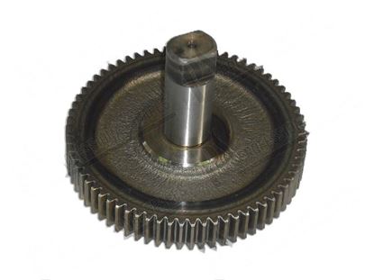Afbeeldingen van Gear wheel final  112 mm for Scotsman Part# 65116201