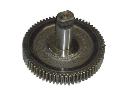 Bild på Gear wheel final  112 mm for Scotsman Part# 65116201