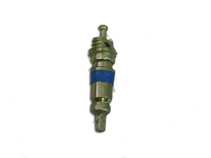 Obrazek Schrader valve CASTEL 8394/B R22 for Scotsman Part# 67001200