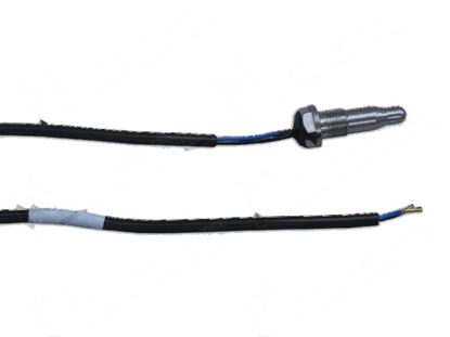 Foto de Temperature probe NTC M10x1 for Winterhalter Part# 71002591