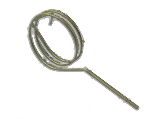 Picture of Torsion spring for Wascator Part# 471246157